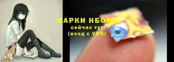 прущие грибы Вязники