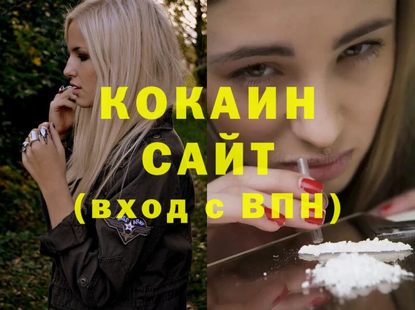 стаф Вяземский