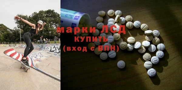 стаф Вяземский