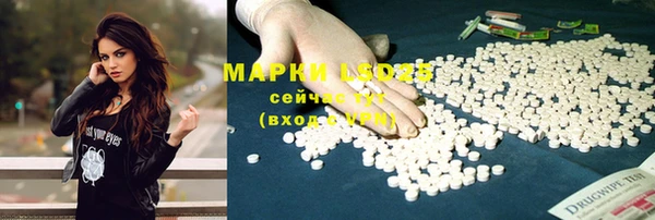 прущие грибы Вязники